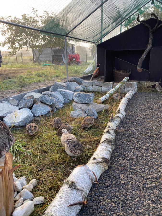 Ferienwohnung Auf Dem Bauernhof Κότμπους Εξωτερικό φωτογραφία