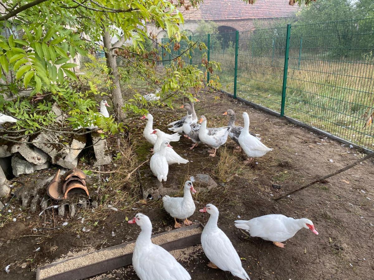 Ferienwohnung Auf Dem Bauernhof Κότμπους Εξωτερικό φωτογραφία